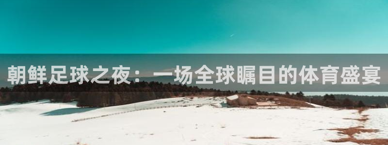 朝鲜足球之夜：一场全球瞩目的体育盛宴