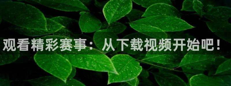 观看精彩赛事：从下载视频开始吧！