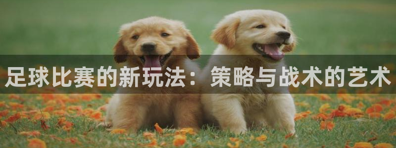  足球比赛的新玩法：策略与战术的艺术