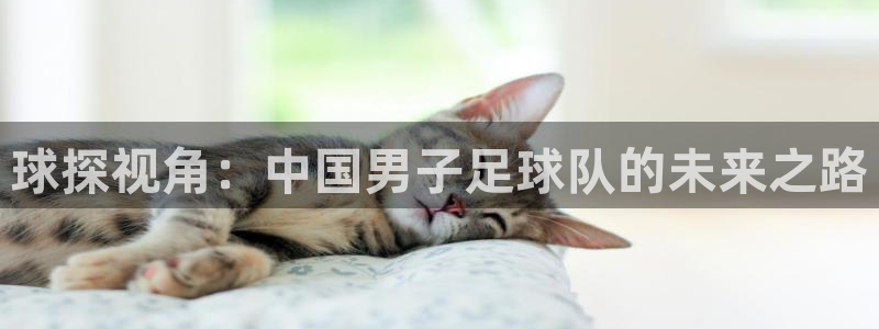  球探视角：中国男子足球队的未来之路