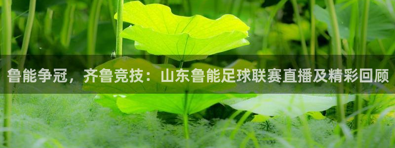 鲁能争冠，齐鲁竞技：山东鲁能足球联赛直播及精彩回顾