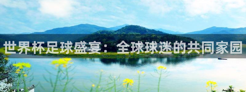  世界杯足球盛宴：全球球迷的共同家园