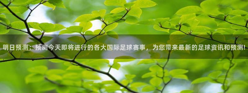  明日预测：预测今天即将进行的各大国际足球赛事，为您带来最新的