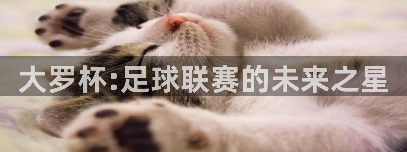 大罗杯:足球联赛的未来之星