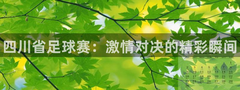 四川省足球赛：激情对决的精彩瞬间