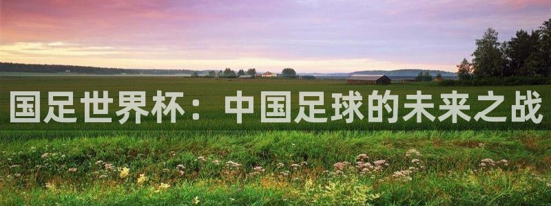  国足世界杯：中国足球的未来之战