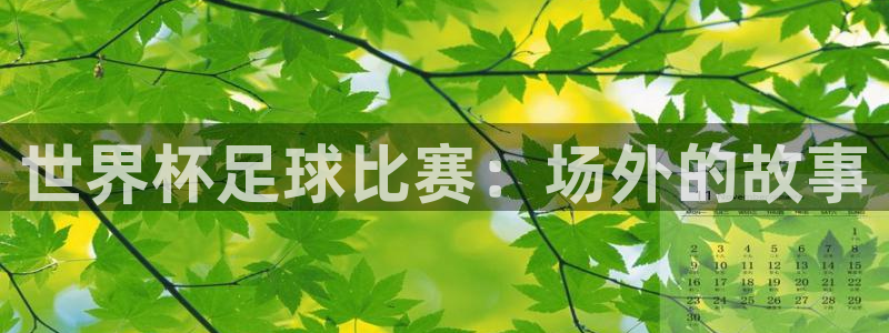 世界杯足球比赛：场外的故事