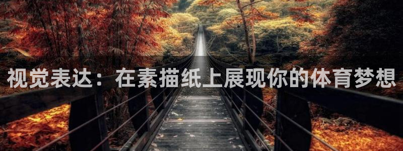 77体育官网