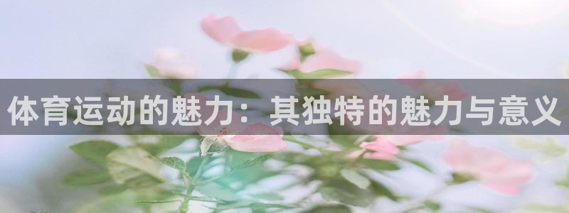 77体育官网