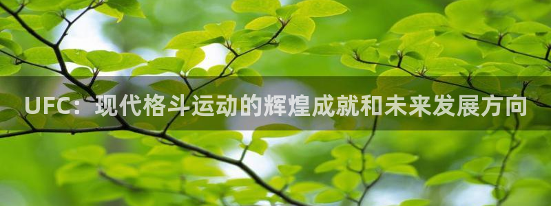 77体育官网