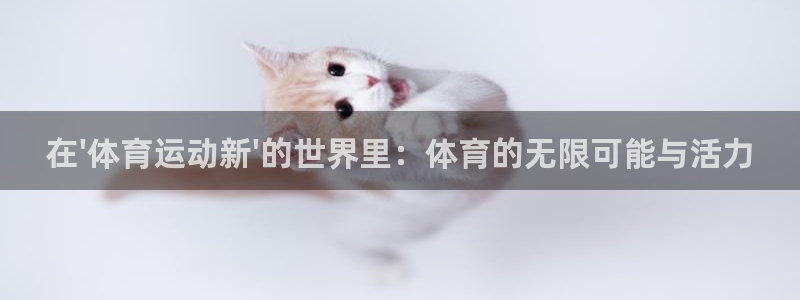 77体育app下载官网
