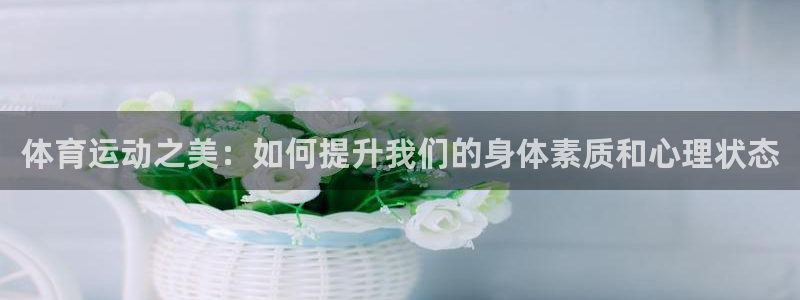 77体育app下载官网