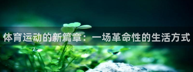77体育app下载官网