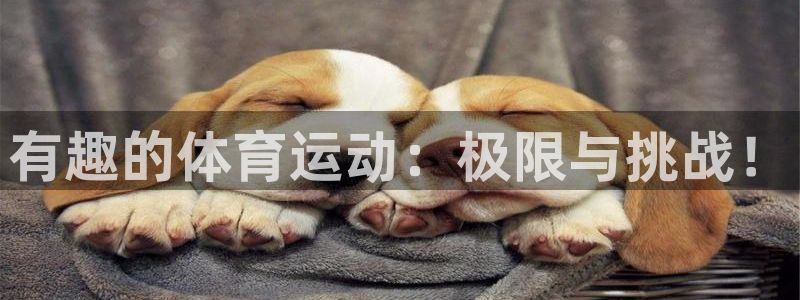 77体育
