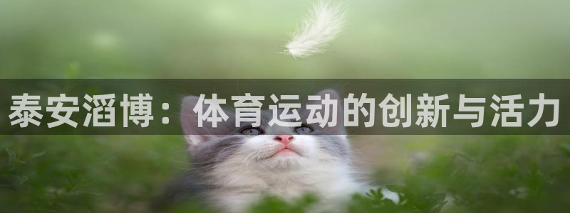 皇冠277体育