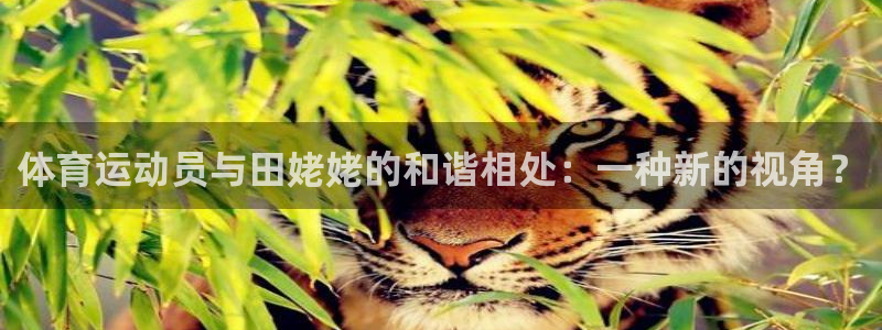 77体育官网