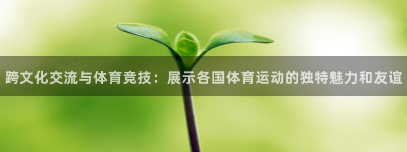77体育