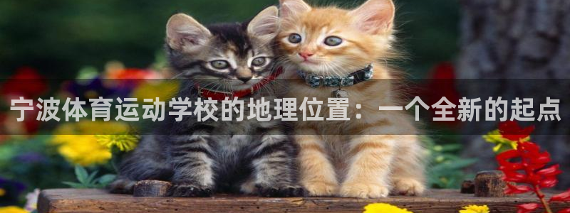 77体育app下载官网
