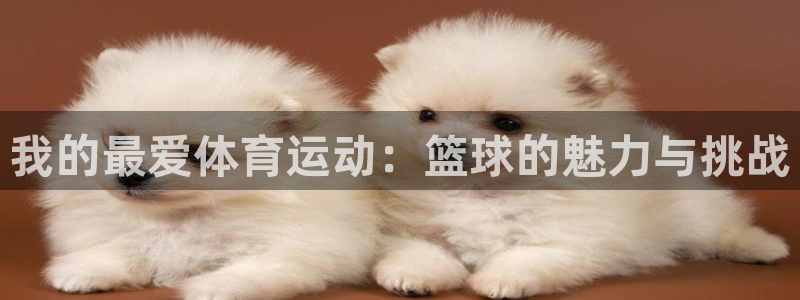 皇冠277体育