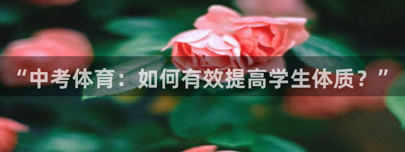 77体育官网