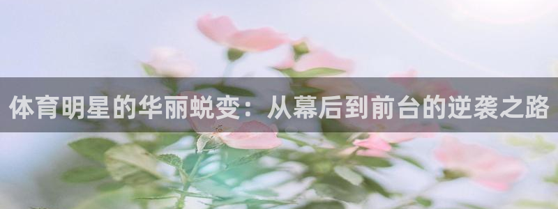 77体育官网