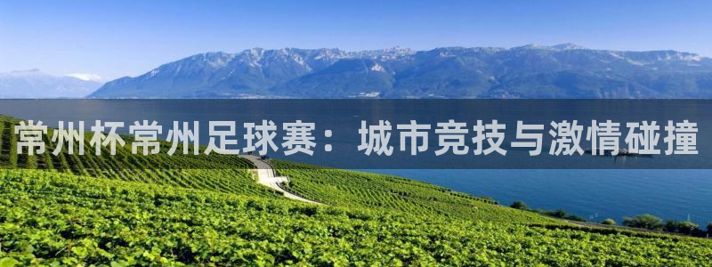 常州杯常州足球赛：城市竞技与激情碰撞