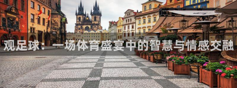观足球：一场体育盛宴中的智慧与情感交