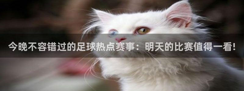 今晚不容错过的足球热点赛事：明天的比