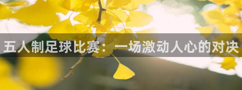 五人制足球比赛：一场激动人心的对决