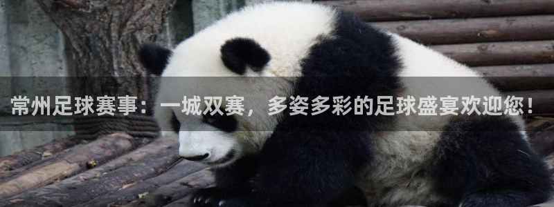 常州足球赛事：一城双赛，多姿多彩的足