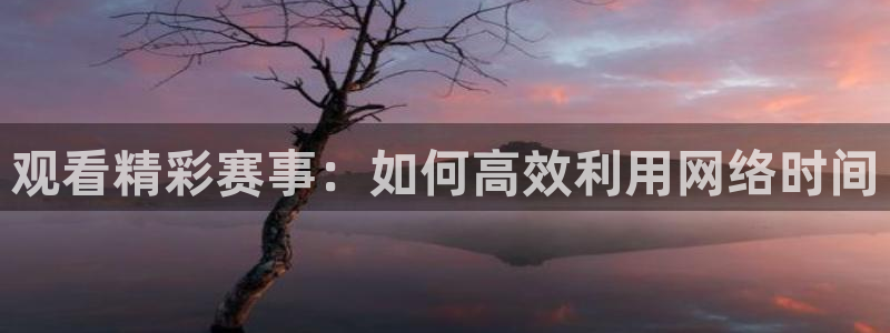  观看精彩赛事：如何高效利用网络时间